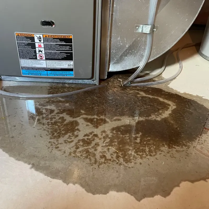 Appliance Leak Cleanup in Shell Knob, MO