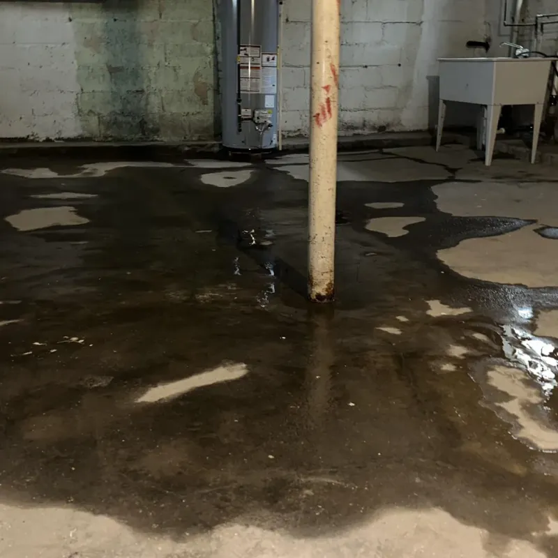 Emergency Water Extraction And Removal in Shell Knob, MO